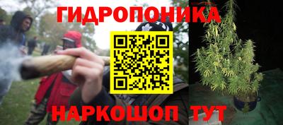экстази Обь