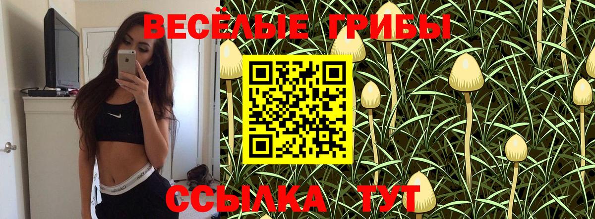 Серпухов  Псилоцибиновые грибы Psilocybine cubensis  Вход с VPN 